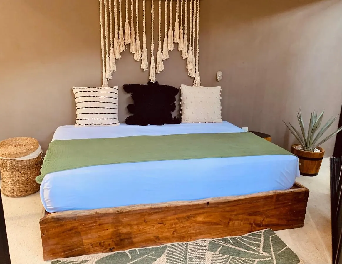 טולום Vida Jungle Apart 1 With Special Fee To Access Hotel Bardo
