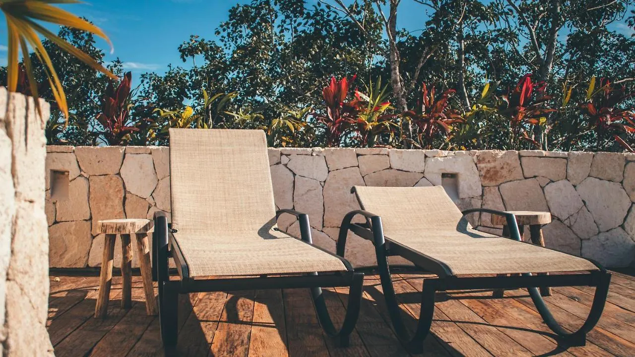 טולום Vida Jungle Apart 1 With Special Fee To Access Hotel Bardo מקסיקו