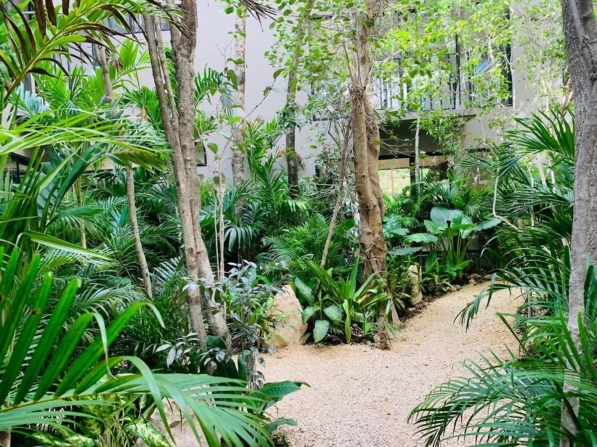 דירה טולום Vida Jungle Apart 1 With Special Fee To Access Hotel Bardo מקסיקו