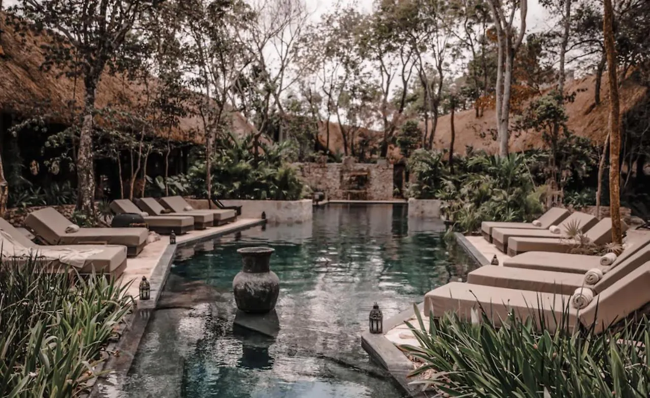 דירה טולום Vida Jungle Apart 1 With Special Fee To Access Hotel Bardo מקסיקו
